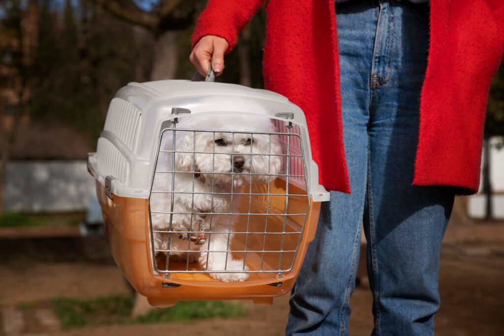 Cageothérapie chez le chien et le chat : conseils pour un repos en cage réussi 6 Un chien de garde installé confortablement sur un tapis moelleux à l'intérieur d'une grande cage de transport métallique.