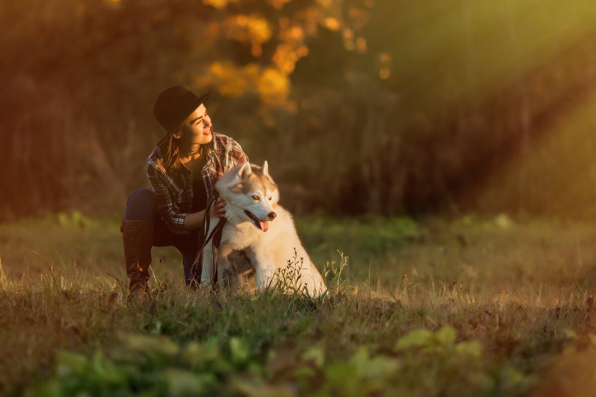 Un chien de grande taille assis calmement dans l'herbe d'un jardin sous la lune.