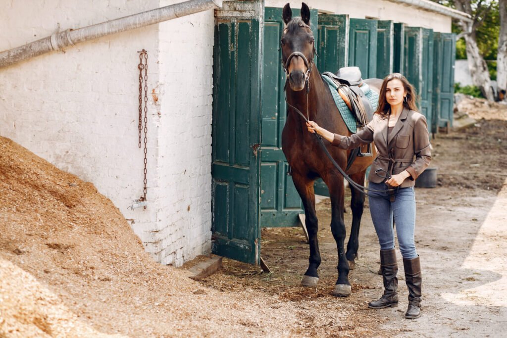 Pension pour chevaux à éviter : les signes d'alerte et pièges à connaître 3 Inspection de l'état d'un box et de la litière dans une écurie de propriétaire.