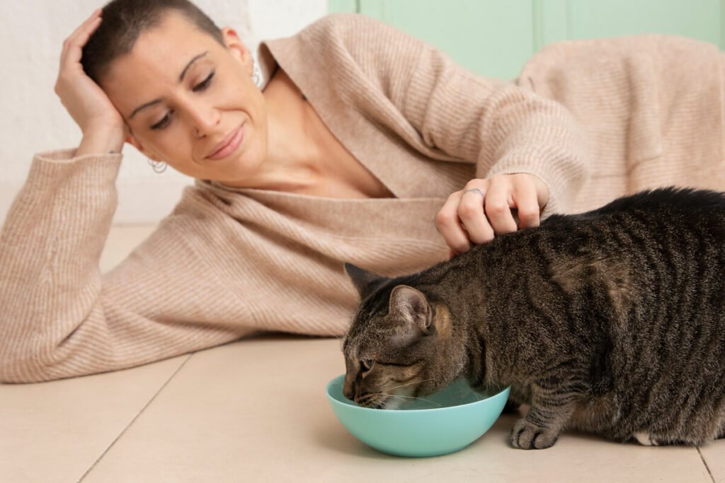 Cortisone chez le chat : effets sur le comportement et précautions 9 Chat mangeant avec frénésie dans sa gamelle sous traitement anti-inflammatoire corticoïde.