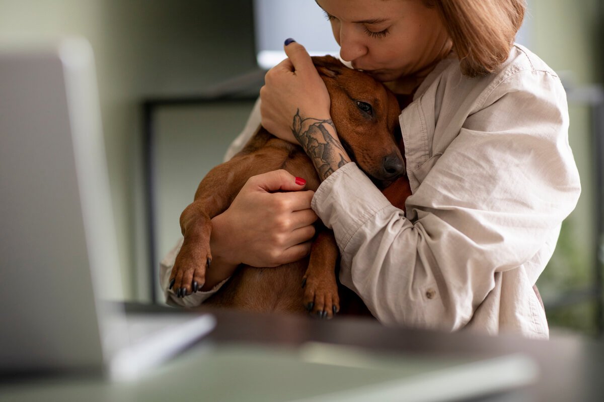 Prise en charge digne et respectueuse de la dépouille d'un animal en clinique vétérinaire.